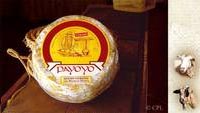 Formaggio di capra e pecora stagionato in strutto di maiale ibérico