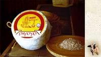 Formaggio di capra stagionato alla crusca di frumento